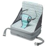 The First Years On-The-Go Booster Seat Review